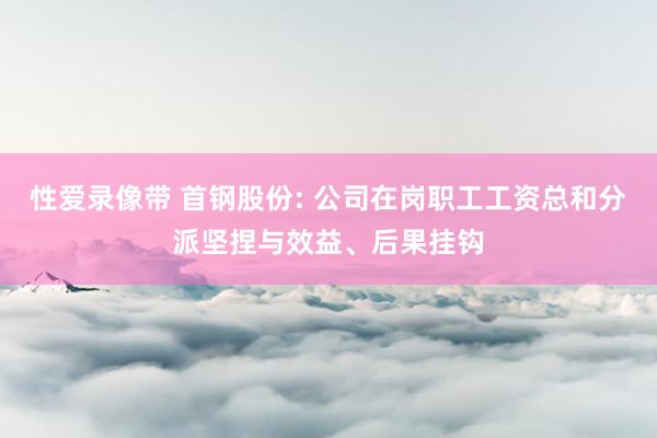 性爱录像带 首钢股份: 公司在岗职工工资总和分派坚捏与效益、后果挂钩