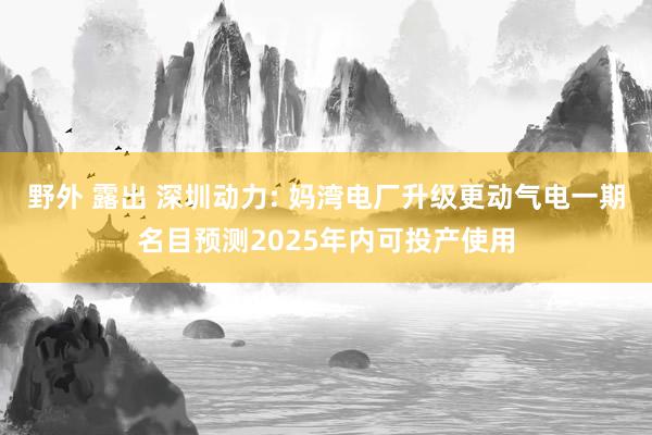 野外 露出 深圳动力: 妈湾电厂升级更动气电一期名目预测2025年内可投产使用