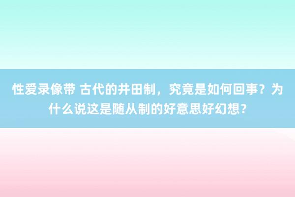性爱录像带 古代的井田制，究竟是如何回事？为什么说这是随从制的好意思好幻想？