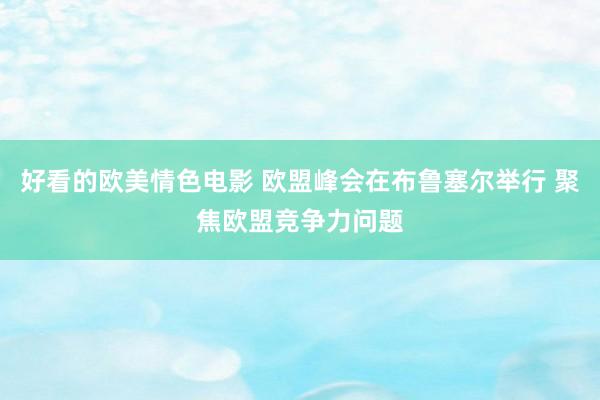 好看的欧美情色电影 欧盟峰会在布鲁塞尔举行 聚焦欧盟竞争力问题