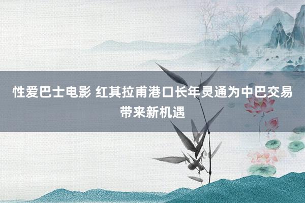 性爱巴士电影 红其拉甫港口长年灵通为中巴交易带来新机遇
