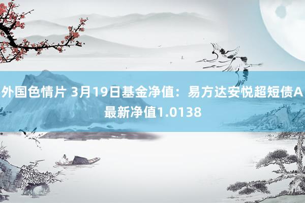 外国色情片 3月19日基金净值：易方达安悦超短债A最新净值1.0138