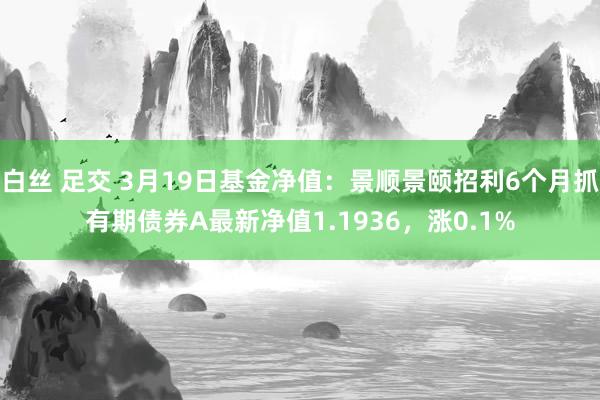 白丝 足交 3月19日基金净值：景顺景颐招利6个月抓有期债券A最新净值1.1936，涨0.1%
