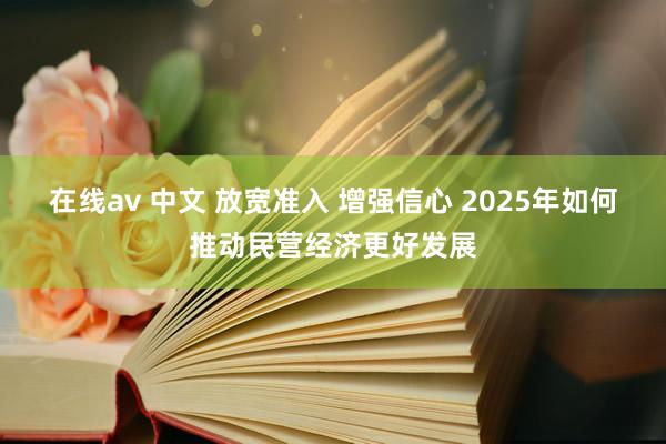 在线av 中文 放宽准入 增强信心 2025年如何推动民营经济更好发展