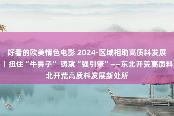 好看的欧美情色电影 2024·区域相助高质料发展一线不雅察丨扭住“牛鼻子” 铸就“强引擎”——东北开荒高质料发展新处所