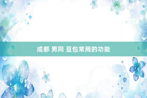 成都 男同 豆包常用的功能