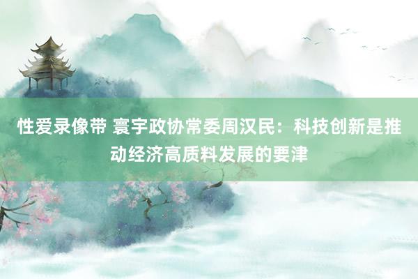 性爱录像带 寰宇政协常委周汉民：科技创新是推动经济高质料发展的要津