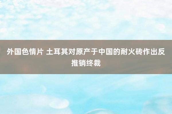 外国色情片 土耳其对原产于中国的耐火砖作出反推销终裁