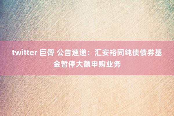 twitter 巨臀 公告速递：汇安裕同纯债债券基金暂停大额申购业务