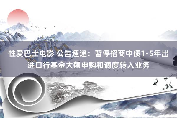 性爱巴士电影 公告速递：暂停招商中债1-5年出进口行基金大额申购和调度转入业务