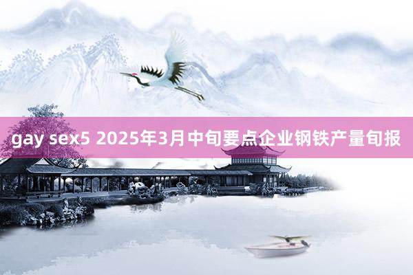 gay sex5 2025年3月中旬要点企业钢铁产量旬报