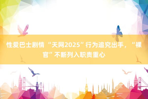 性爱巴士剧情 “天网2025”行为追究出手，“裸官”不断列入职责重心