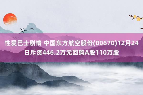 性爱巴士剧情 中国东方航空股份(00670)12月24日斥资446.2万元回购A股110万股