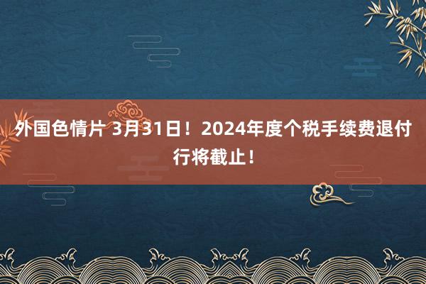 外国色情片 3月31日！2024年度个税手续费退付行将截止！