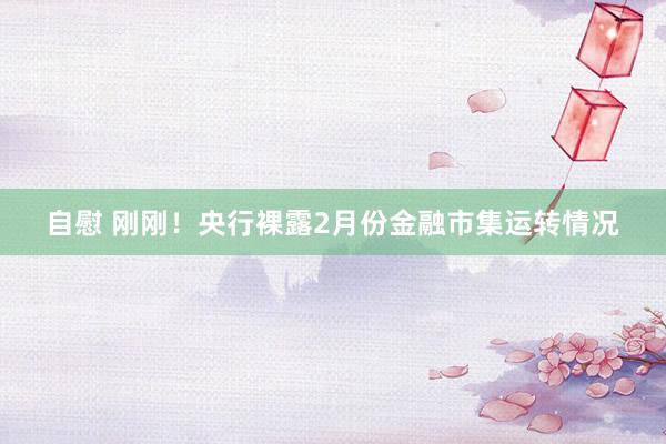 自慰 刚刚！央行裸露2月份金融市集运转情况