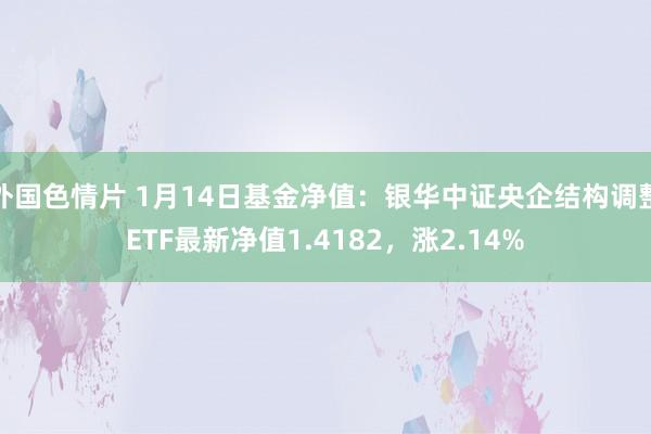 外国色情片 1月14日基金净值：银华中证央企结构调整ETF最新净值1.4182，涨2.14%