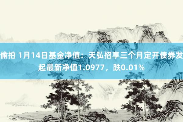 偷拍 1月14日基金净值：天弘招享三个月定开债券发起最新净值1.0977，跌0.01%
