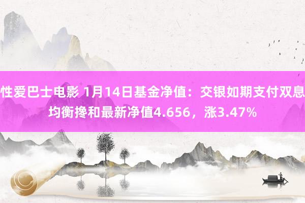性爱巴士电影 1月14日基金净值：交银如期支付双息均衡搀和最新净值4.656，涨3.47%
