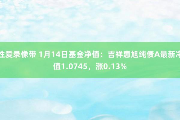 性爱录像带 1月14日基金净值：吉祥惠旭纯债A最新净值1.0745，涨0.13%