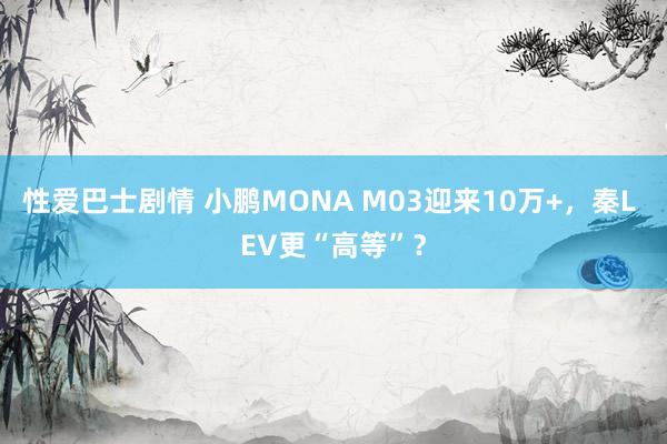 性爱巴士剧情 小鹏MONA M03迎来10万+，秦L EV更“高等”？