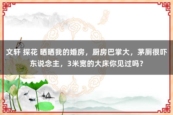 文轩 探花 晒晒我的婚房，厨房巴掌大，茅厕很吓东说念主，3米宽的大床你见过吗？