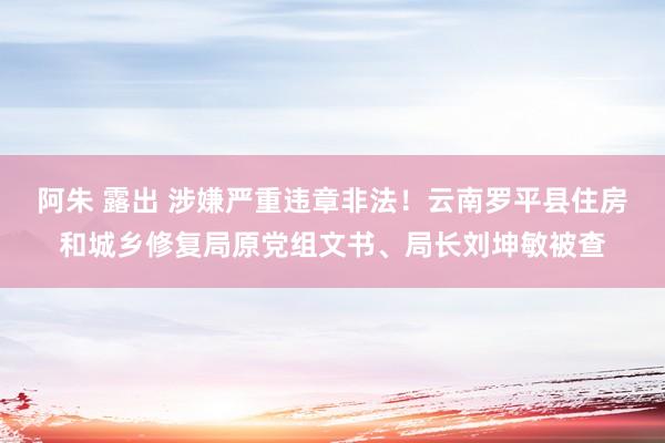 阿朱 露出 涉嫌严重违章非法！云南罗平县住房和城乡修复局原党组文书、局长刘坤敏被查