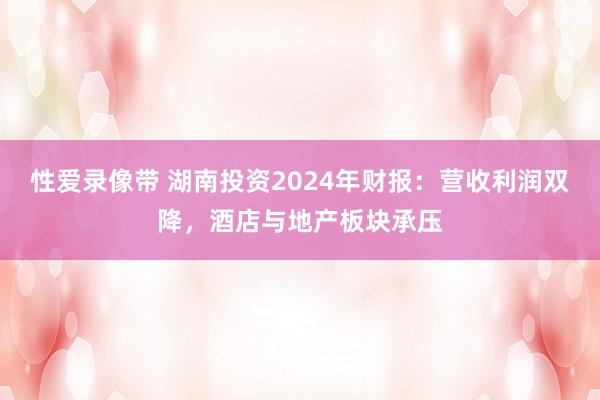 性爱录像带 湖南投资2024年财报：营收利润双降，酒店与地产板块承压