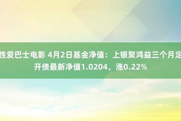 性爱巴士电影 4月2日基金净值：上银聚鸿益三个月定开债最新净值1.0204，涨0.22%