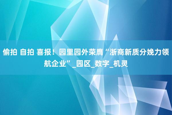 偷拍 自拍 喜报！园里园外荣膺“浙商新质分娩力领航企业”_园区_数字_机灵