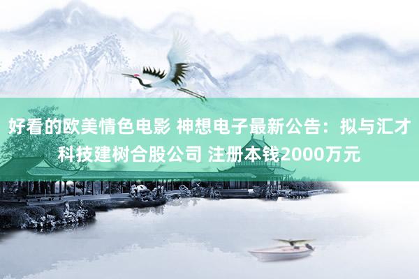 好看的欧美情色电影 神想电子最新公告：拟与汇才科技建树合股公司 注册本钱2000万元