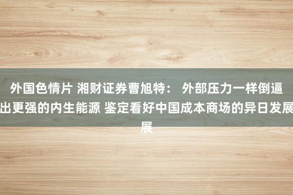 外国色情片 湘财证券曹旭特： 外部压力一样倒逼出更强的内生能源 鉴定看好中国成本商场的异日发展