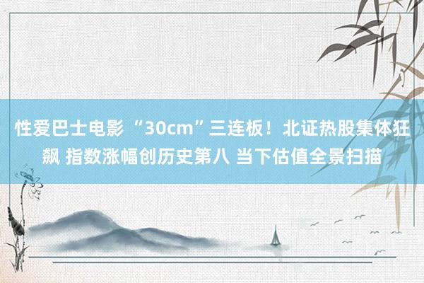 性爱巴士电影 “30cm”三连板！北证热股集体狂飙 指数涨幅创历史第八 当下估值全景扫描