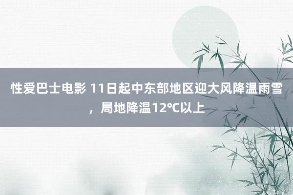 性爱巴士电影 11日起中东部地区迎大风降温雨雪，局地降温12℃以上