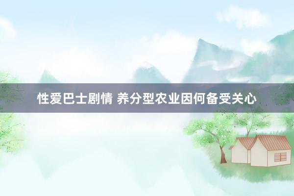 性爱巴士剧情 养分型农业因何备受关心