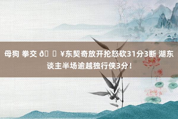 母狗 拳交 🔥东契奇放开抡怒砍31分3断 湖东谈主半场逾越独行侠3分！