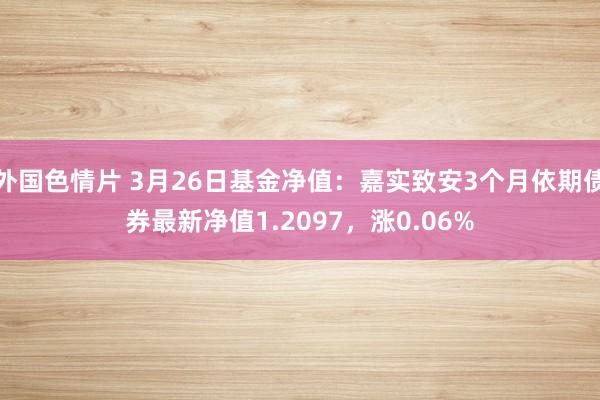 外国色情片 3月26日基金净值：嘉实致安3个月依期债券最新净值1.2097，涨0.06%
