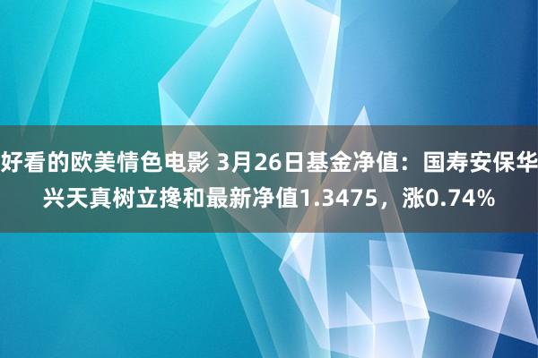 好看的欧美情色电影 3月26日基金净值：国寿安保华兴天真树立搀和最新净值1.3475，涨0.74%