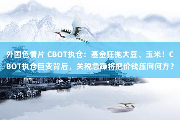 外国色情片 CBOT执仓：基金狂抛大豆、玉米！CBOT执仓巨变背后，关税急躁将把价钱压向何方？