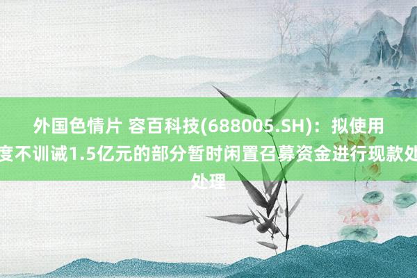 外国色情片 容百科技(688005.SH)：拟使用额度不训诫1.5亿元的部分暂时闲置召募资金进行现款处理