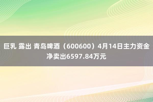 巨乳 露出 青岛啤酒（600600）4月14日主力资金净卖出6597.84万元